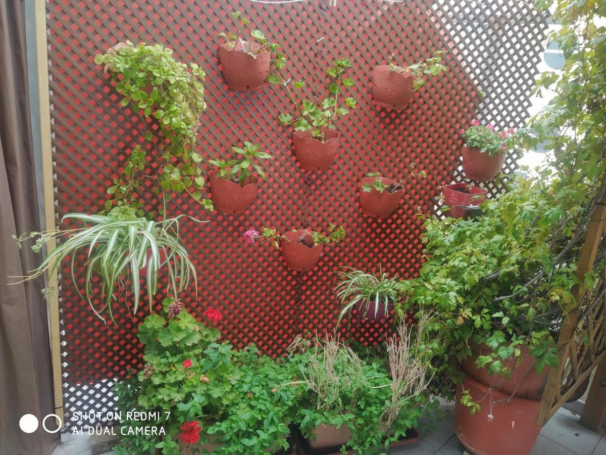 Habitación en un Ático con gran terraza al aire libre una noche 75 mas noches a 65e Burriana Exterior foto